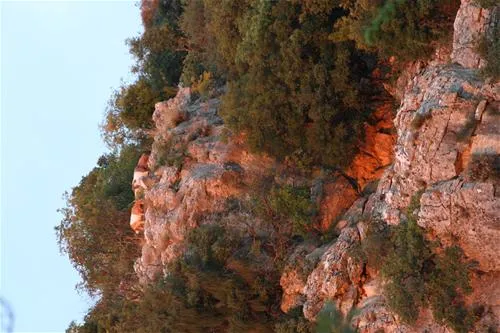 camp-full-monte-herceg-novi-fxdvt