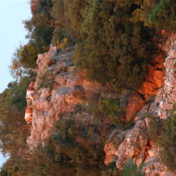 camp-full-monte-herceg-novi-fxdvt