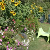 camp-full-monte-herceg-novi-i9y3e