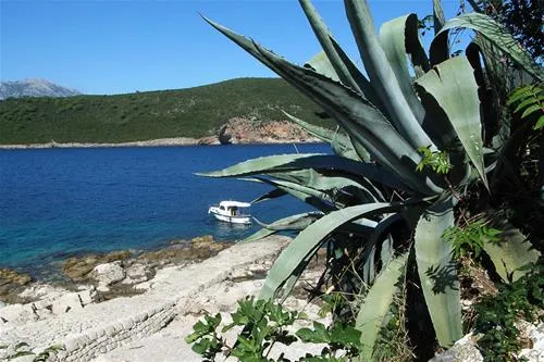 camp-full-monte-herceg-novi-n4aik
