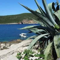 camp-full-monte-herceg-novi-n4aik