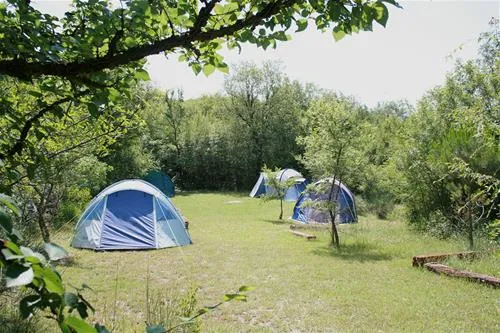 camp-full-monte-herceg-novi-plp3b
