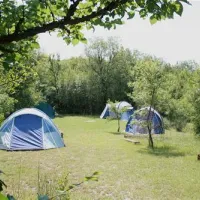 camp-full-monte-herceg-novi-plp3b