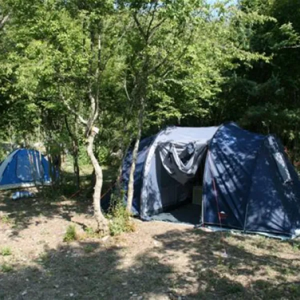 camp-full-monte-herceg-novi-vxfbt