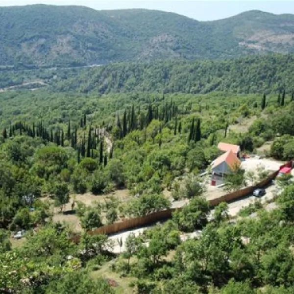 camp-full-monte-herceg-novi-ya96z