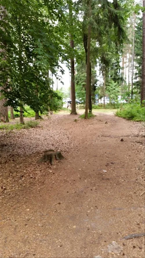 waldcamping-brombach-pleinfeld-bn5td
