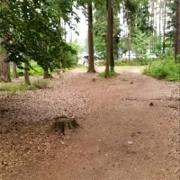 Waldcamping Brombach