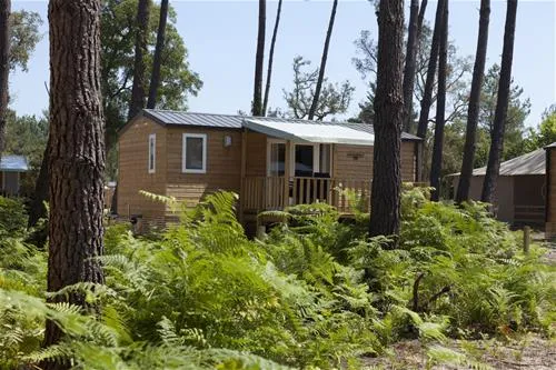 camping-fram-nature-soustons-pzv8q