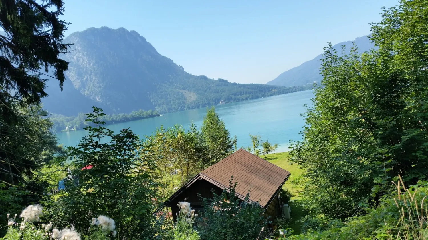 campingplatz-eitzinger-weissenbachattersee-p5d83