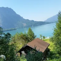 campingplatz-eitzinger-weissenbachattersee-p5d83
