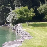 campingplatz-eitzinger-weissenbachattersee-y6uob