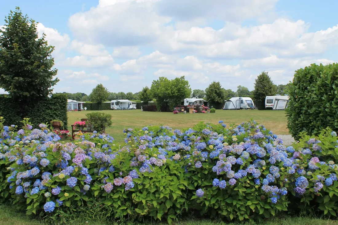 camping-de-wielewaal-baarle-nassau-ptmrk