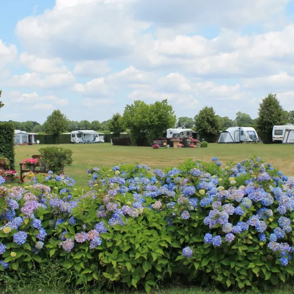 camping-de-wielewaal-baarle-nassau-ptmrk