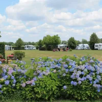 camping-de-wielewaal-baarle-nassau-ptmrk