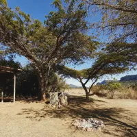 zvakanaka-farm-rmv1f