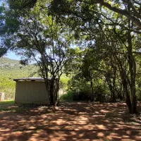 zvakanaka-farm-x4qen