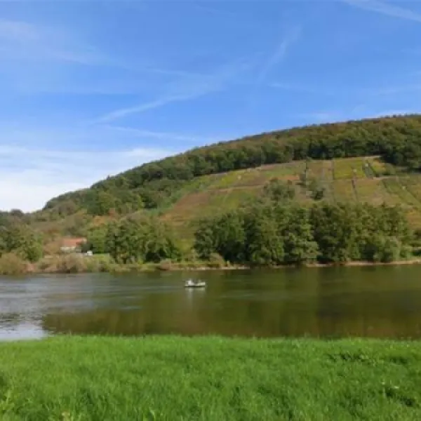 campingplatz-mainaue-wrth-am-main-i1yn1