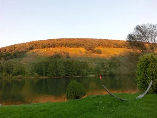 campingplatz-mainaue-wrth-am-main-tjmsv