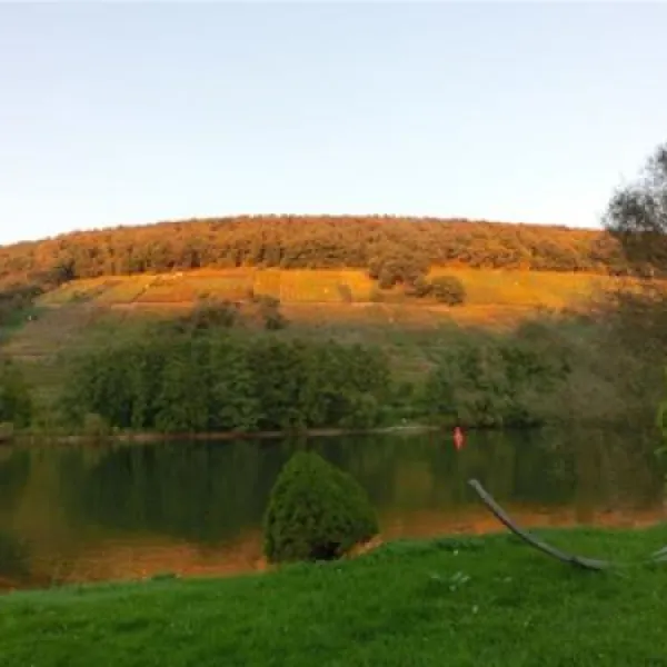 campingplatz-mainaue-wrth-am-main-tjmsv