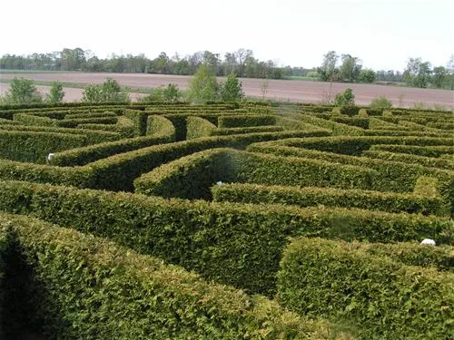 alfsee-ferien-und-erholungspark-rieste-g8so1