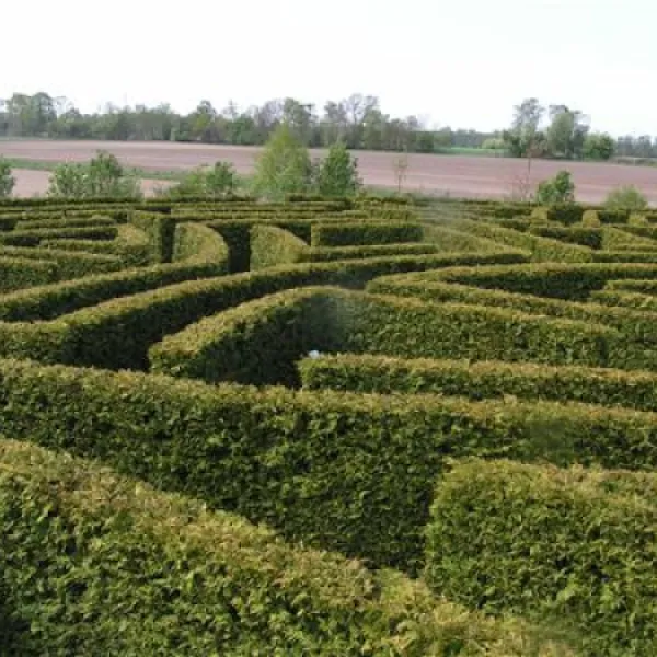 alfsee-ferien-und-erholungspark-rieste-g8so1