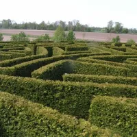 alfsee-ferien-und-erholungspark-rieste-g8so1