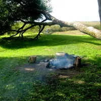 camping-siveri-skaista-ytb34