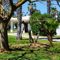 camping-biscione-petrosino-89lq2
