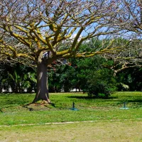 camping-biscione-petrosino-aigmq