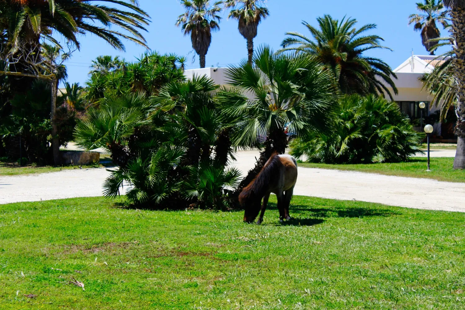camping-biscione-petrosino-dxxel