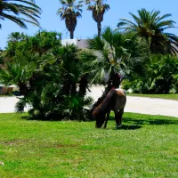 camping-biscione-petrosino-dxxel