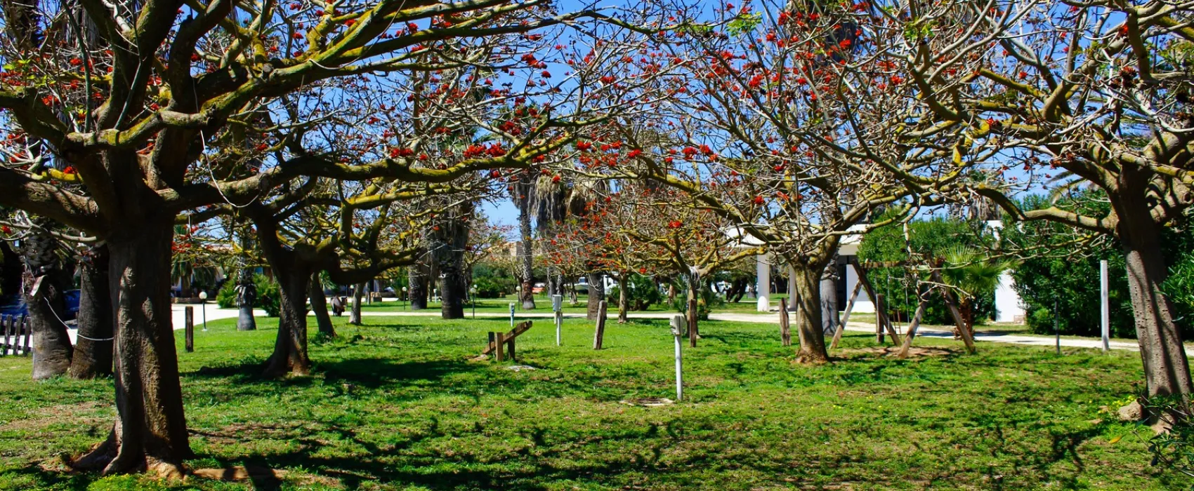 Camping Biscione