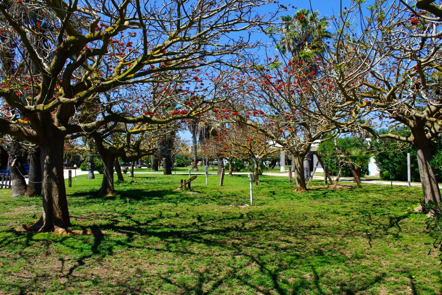 camping-biscione-petrosino-gf3rc