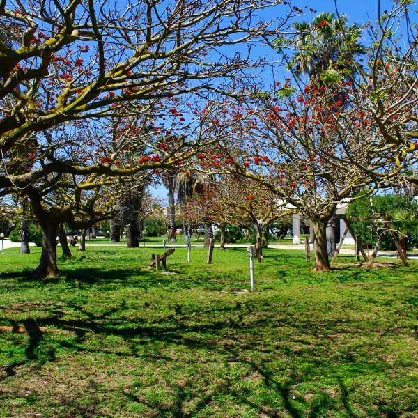 camping-biscione-petrosino-gf3rc