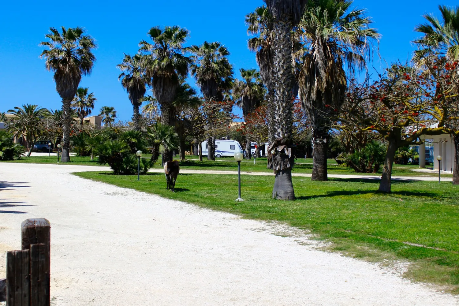 camping-biscione-petrosino-jgsfs