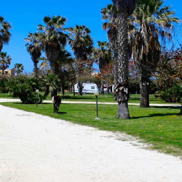 camping-biscione-petrosino-jgsfs