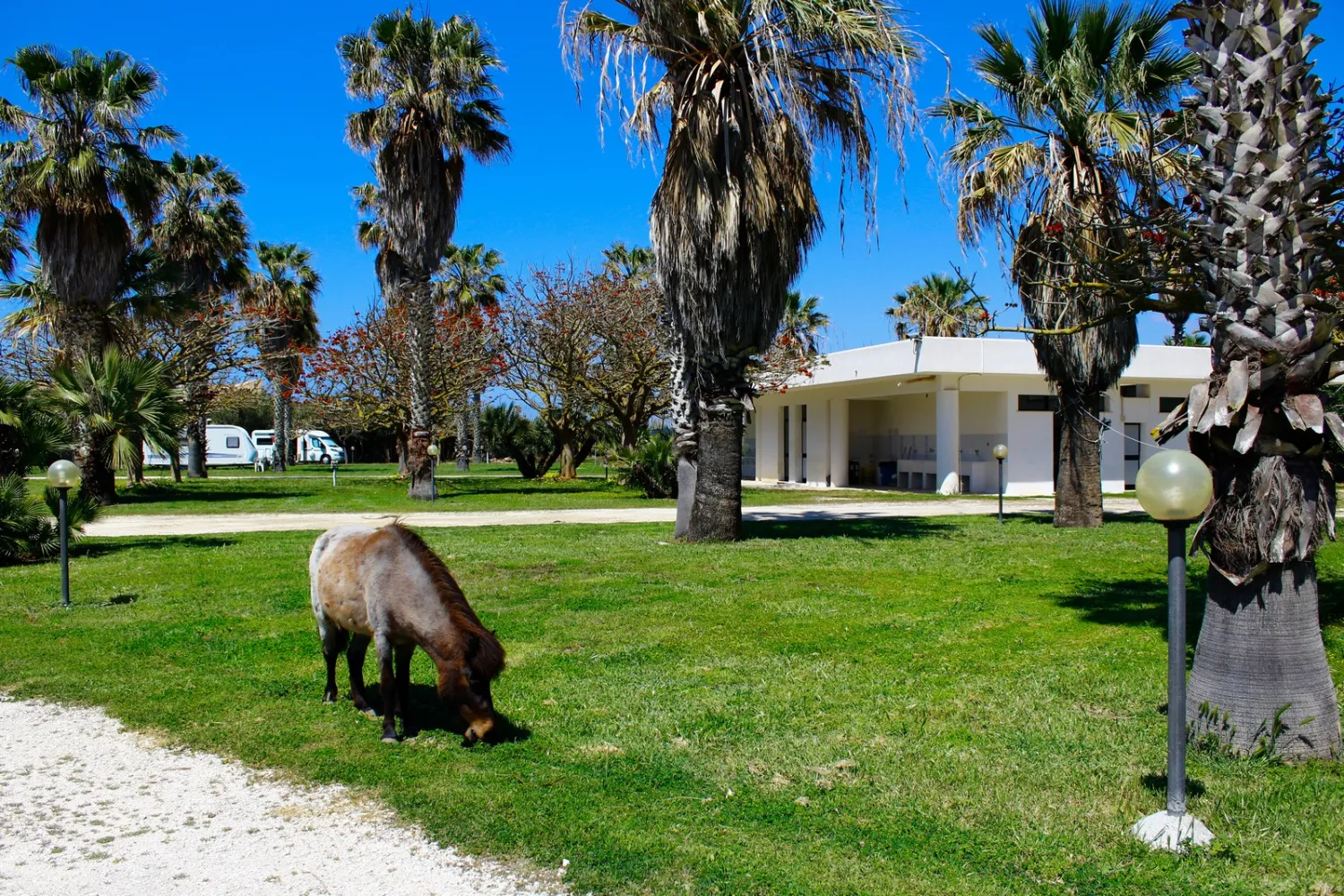 camping-biscione-petrosino-nhg9i