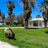 camping-biscione-petrosino-nhg9i