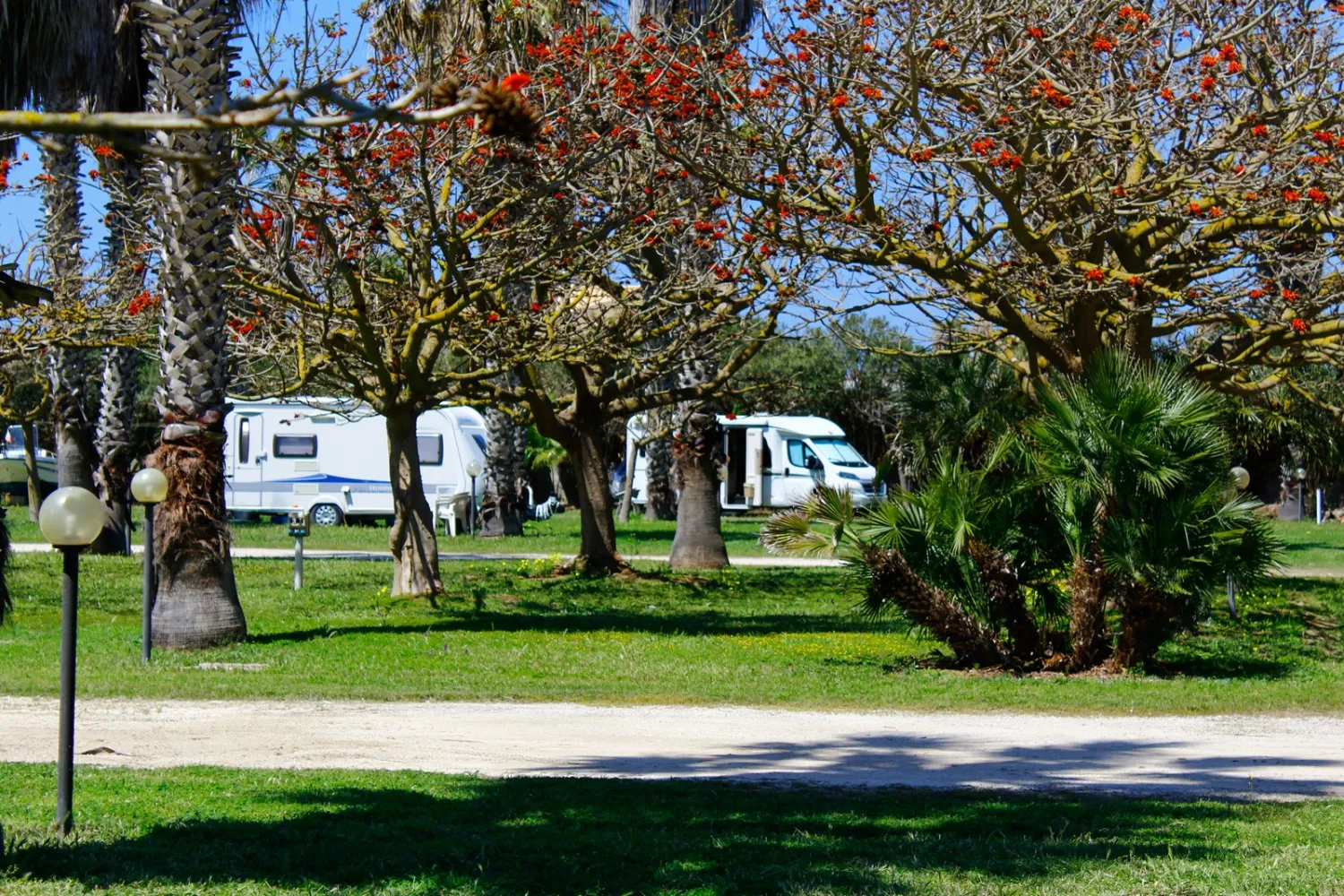 camping-biscione-petrosino-sedxp