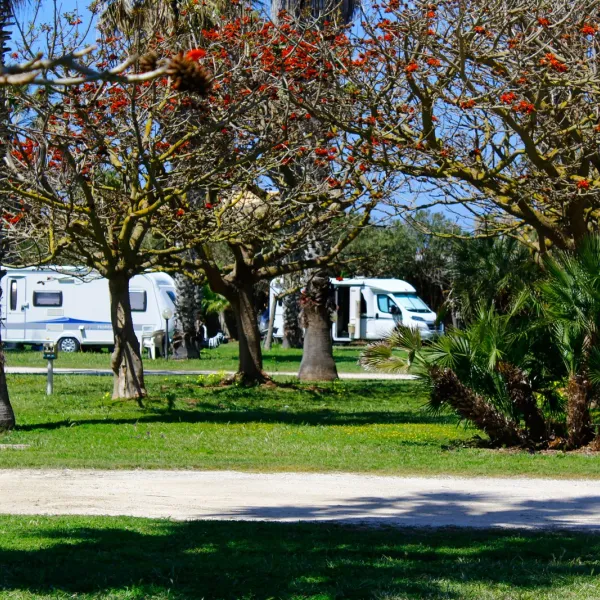 camping-biscione-petrosino-sedxp