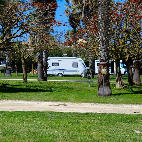 camping-biscione-petrosino-wj0dx