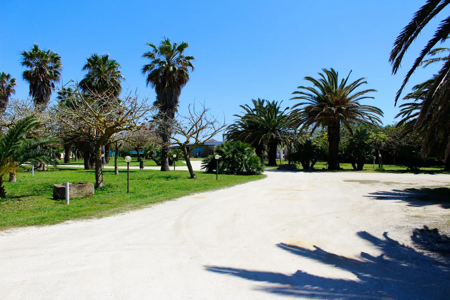 camping-biscione-petrosino-znr1b