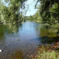 ferme-la-saraillere-goudargues-gard-1n4xc