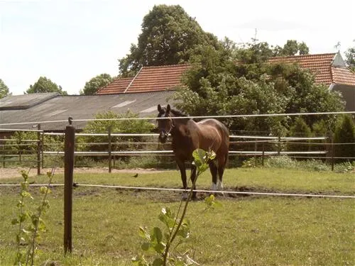 minicamping-de-wolvenhoeve-smilde-8ira6