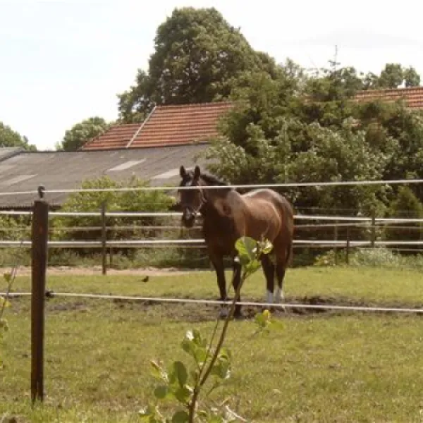 Minicamping de Wolvenhoeve