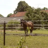 minicamping-de-wolvenhoeve-smilde-8ira6