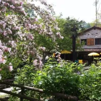 tcs-camping-meride-mendrisio-meride-lwgdh