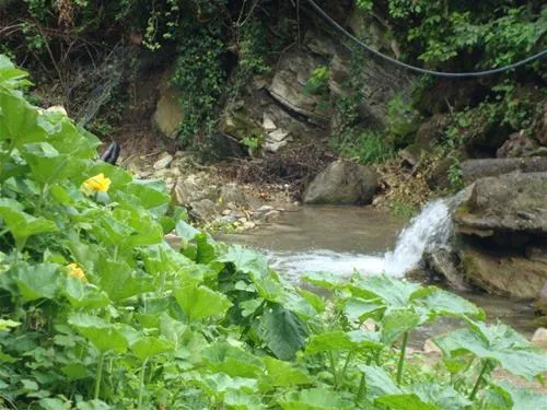 tcs-camping-meride-mendrisio-meride-phqv1