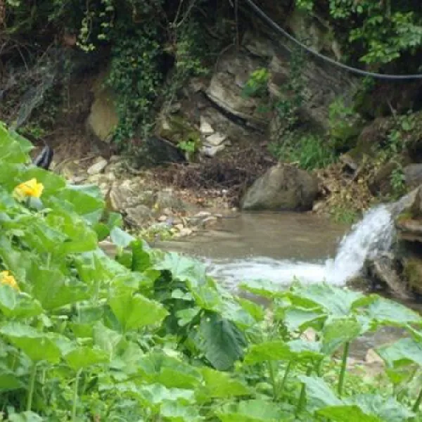tcs-camping-meride-mendrisio-meride-phqv1