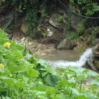 tcs-camping-meride-mendrisio-meride-phqv1